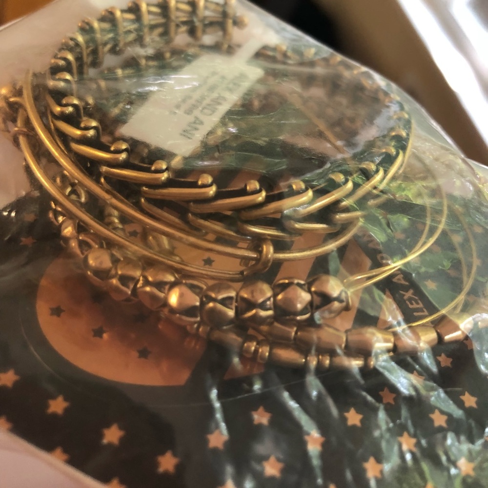 NWT Alex & Ani retired snowflake set of 5 bangle - Picture 4 of 5